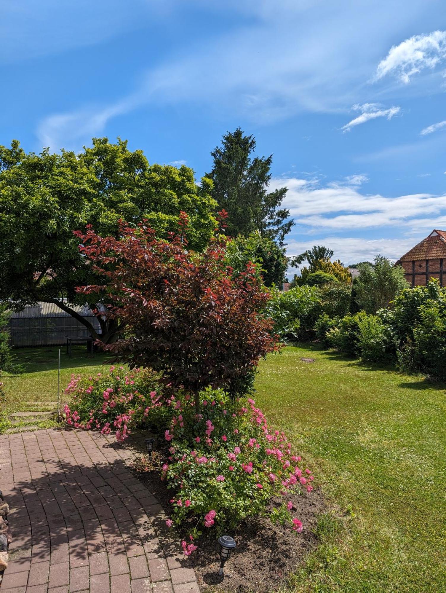 Ferienwohnung Bullersberg Balge Exterior foto