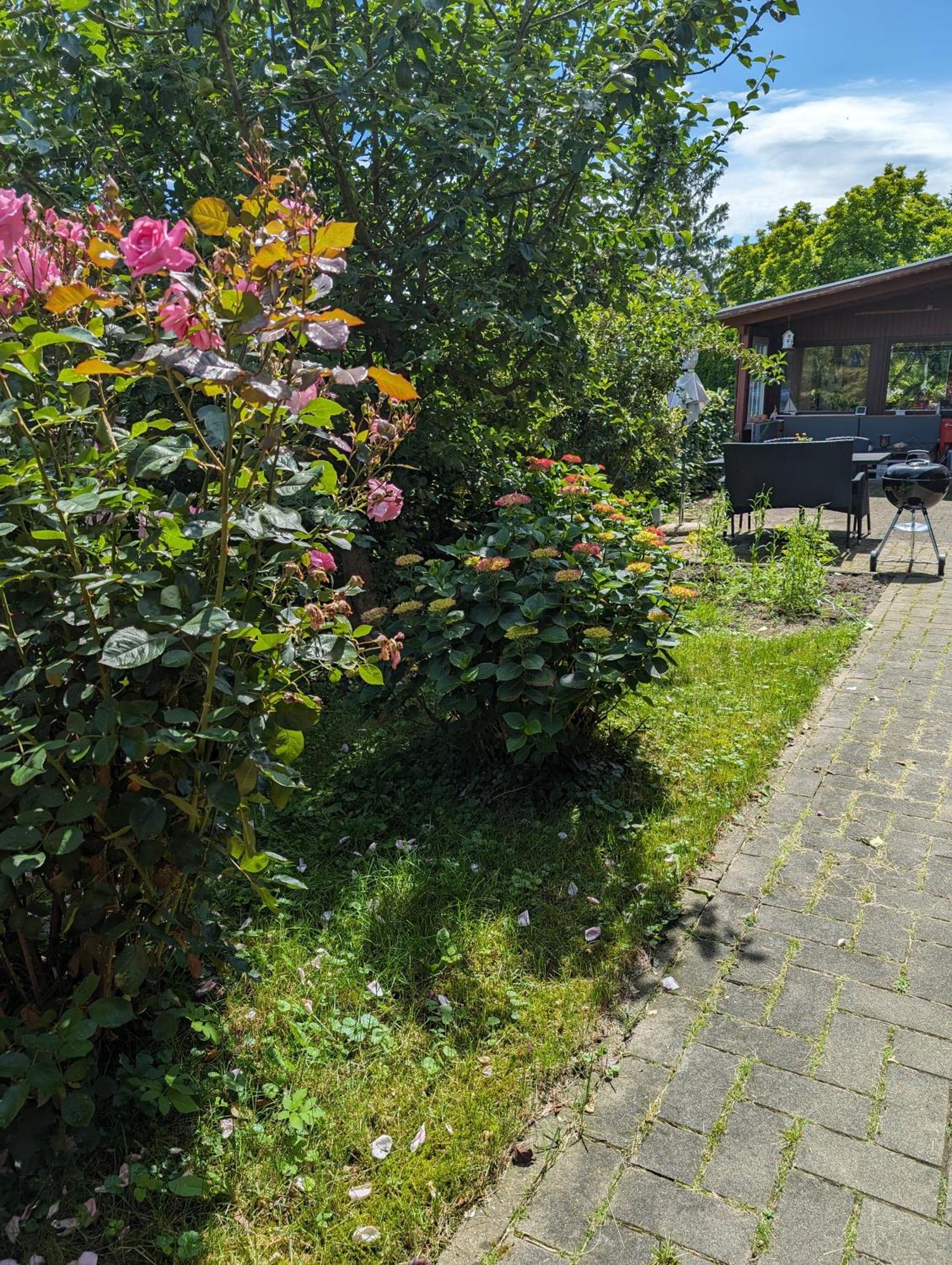 Ferienwohnung Bullersberg Balge Exterior foto
